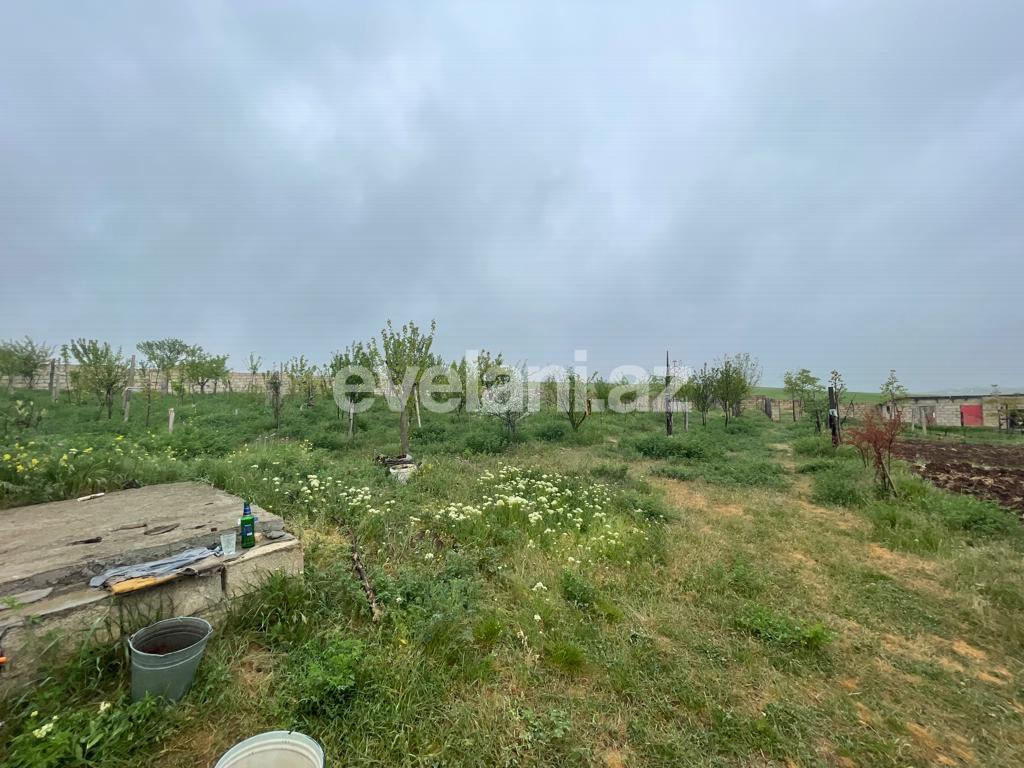 Satılır, həyət evi / bağ, 3 otaqlı, 100 m², Şamaxı