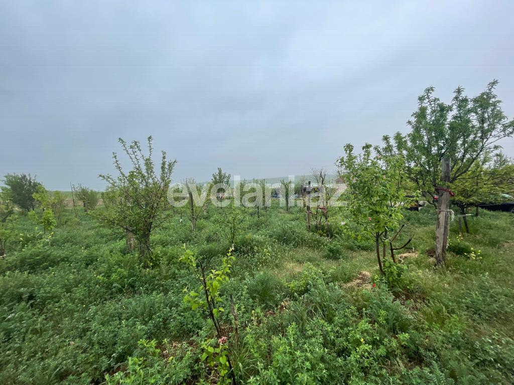 Satılır, həyət evi / bağ, 3 otaqlı, 100 m², Şamaxı