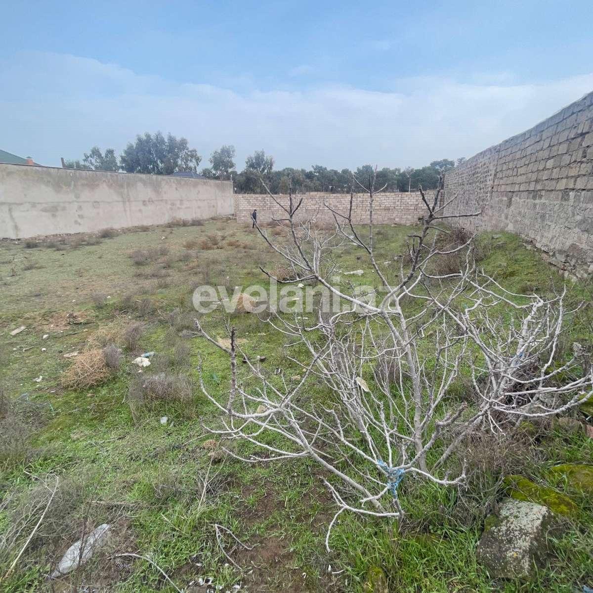 Sale, land, 8 ar, Baku, Khazar r, Shuvalan d.