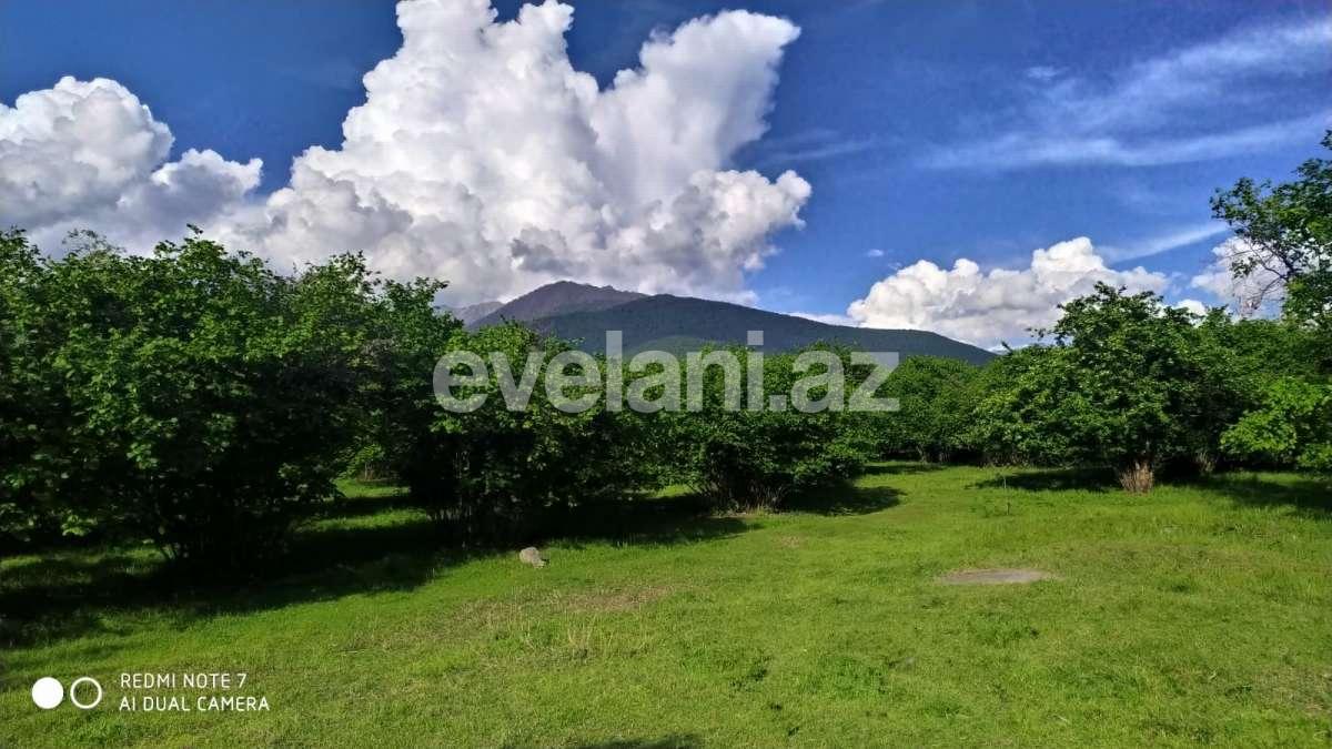 Satılır, torpaq, 350 sot, Qax