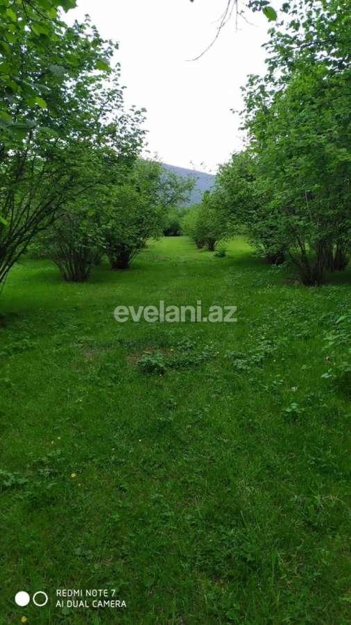 Satılır, torpaq, 350 sot, Qax