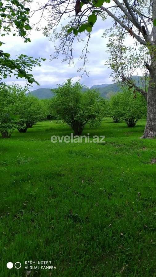 Satılır, torpaq, 350 sot, Qax