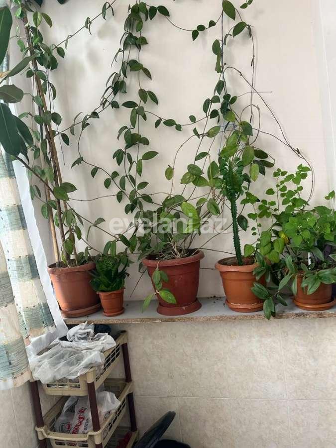 Продаётся, новостройка, 4-комнаты, 119 m², Баку, Бинагадинский r, 9-й микрорайон p.