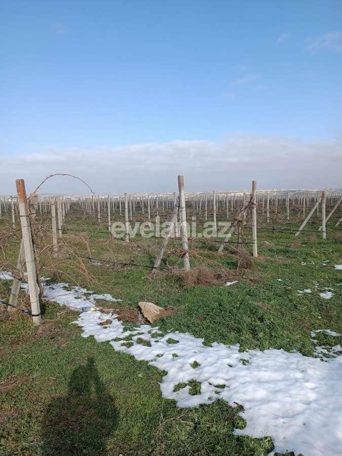 Satılır, torpaq, 691 sot, Bakı, Abşeron r.