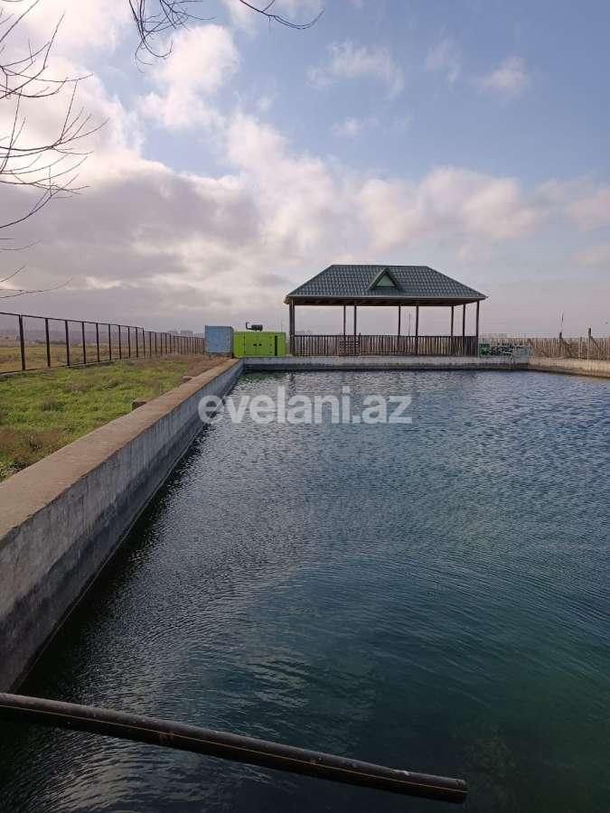 Satılır, torpaq, 691 sot, Bakı, Abşeron r.