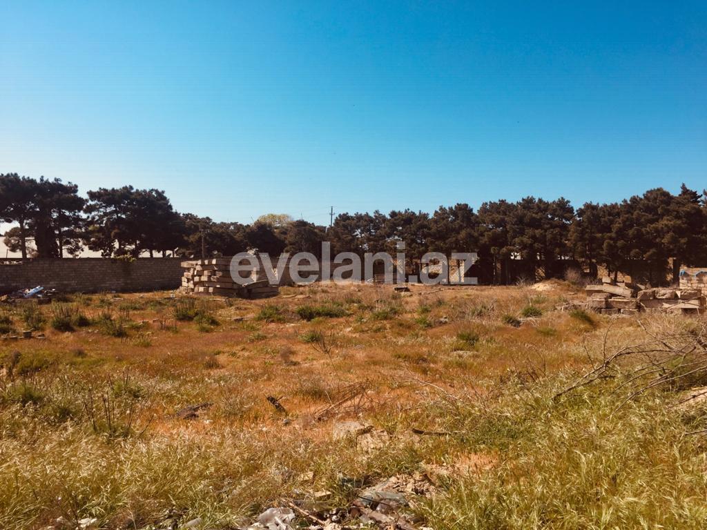 Satılır, torpaq, 75 sot, Bakı, Sabunçu r, Bilgəh q.