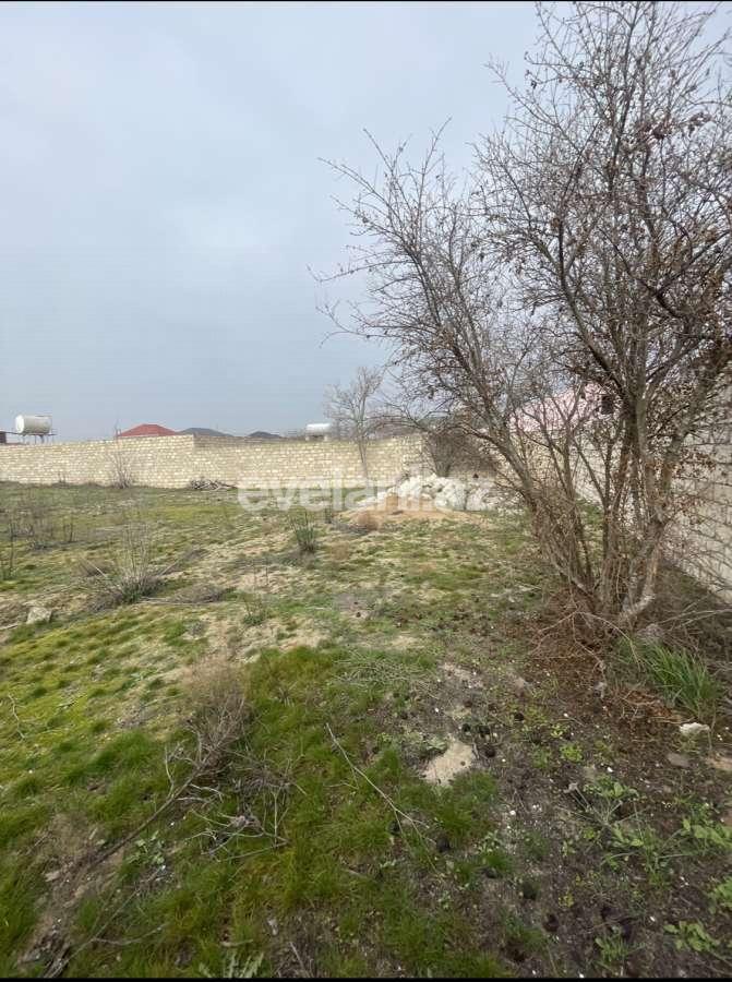 Sale, land, 11 ar, Baku, Khazar r, Shuvalan d.
