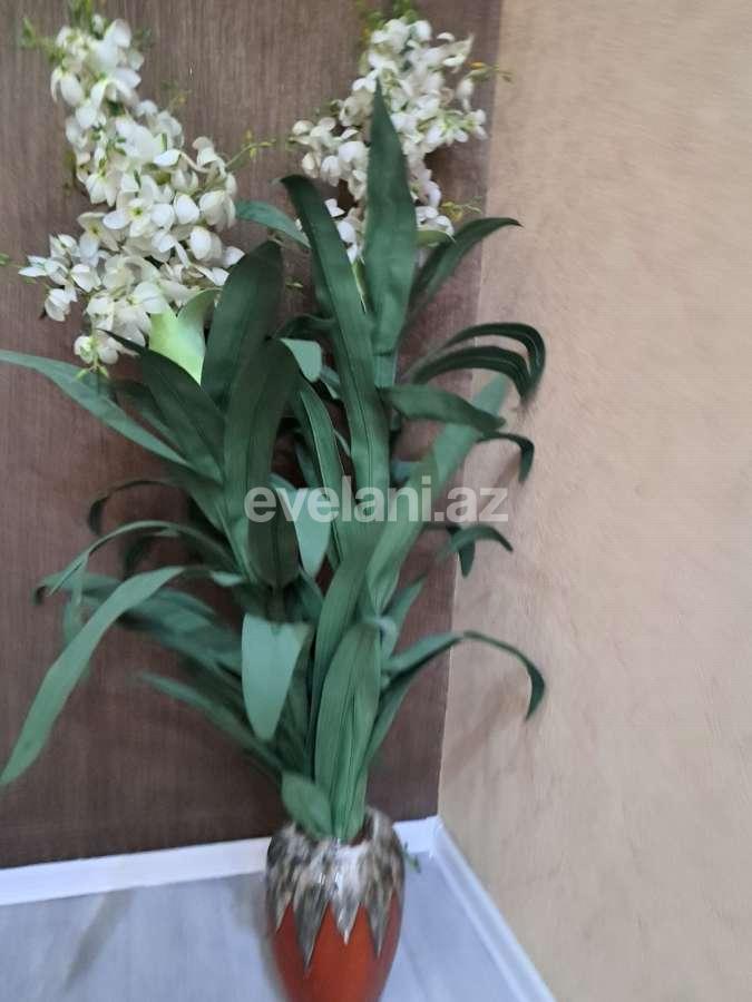 Kirayə verilir, obyekt, 40 m², Bakı, Nəsimi r, 28 may m.