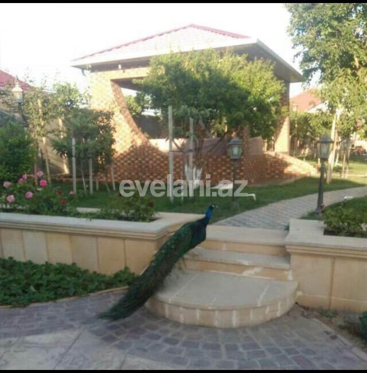 Sale, garden / house, 6 room, 250 m², Baku, Absheron r.