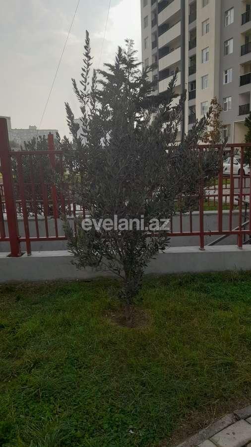 Sale, new building, 3 room, 152.99 m², Baku, Khatai r, Hazi Aslanov m.