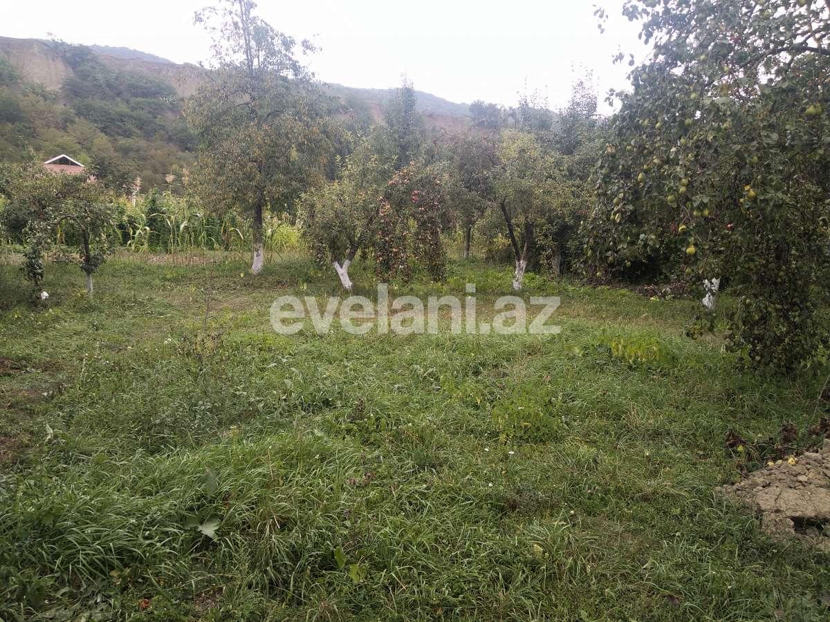 Satılır, torpaq, 15 sot, Qusar