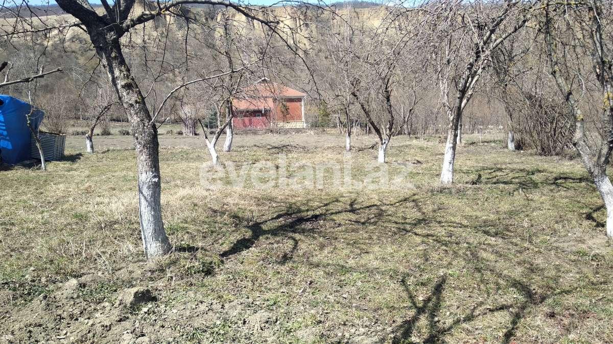 Satılır, torpaq, 15 sot, Qusar