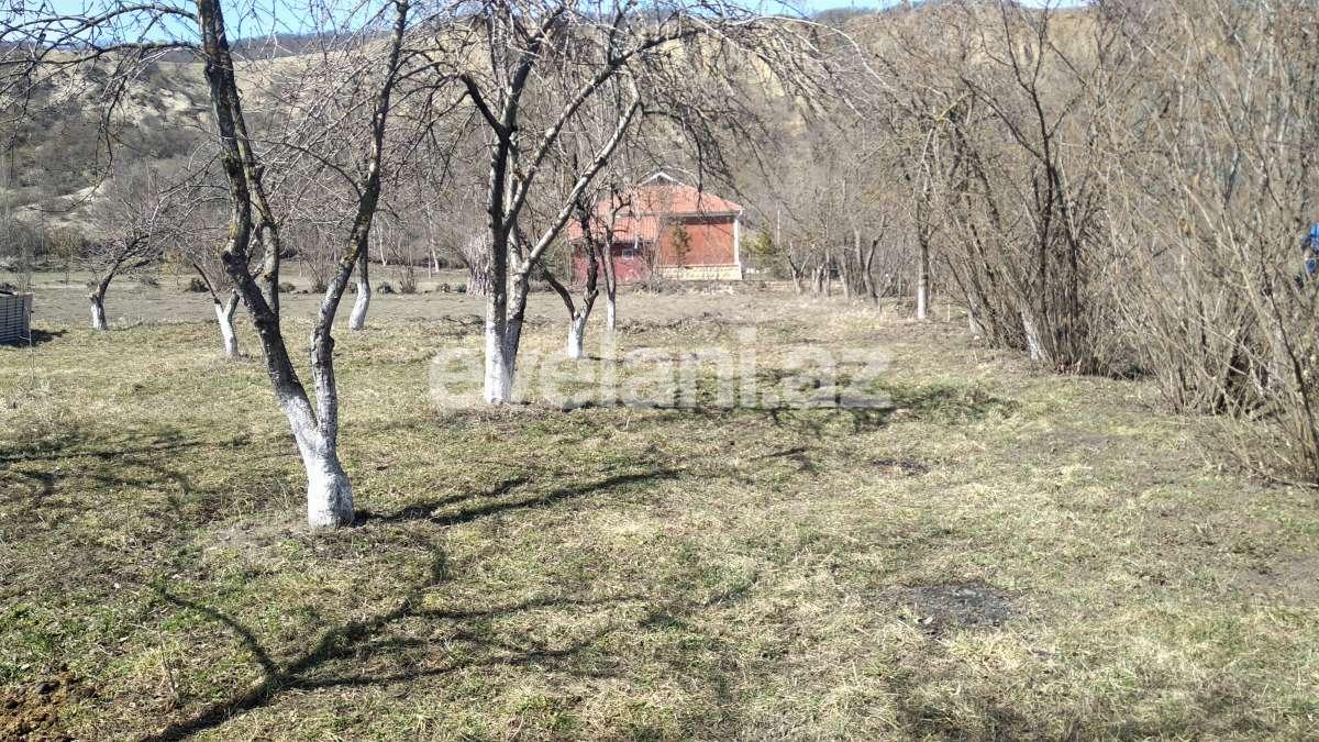 Satılır, torpaq, 15 sot, Qusar