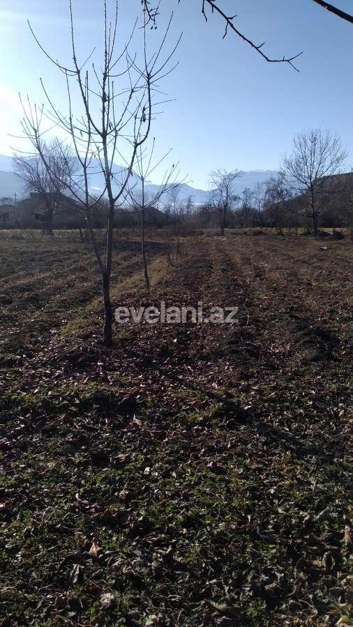 Satılır, torpaq, 15 sot, Qusar