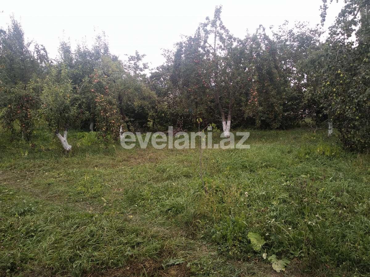 Satılır, torpaq, 15 sot, Qusar