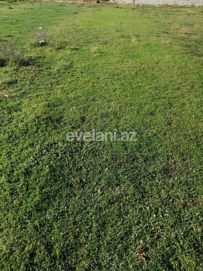 Satılır, torpaq, 6 sot, Quba