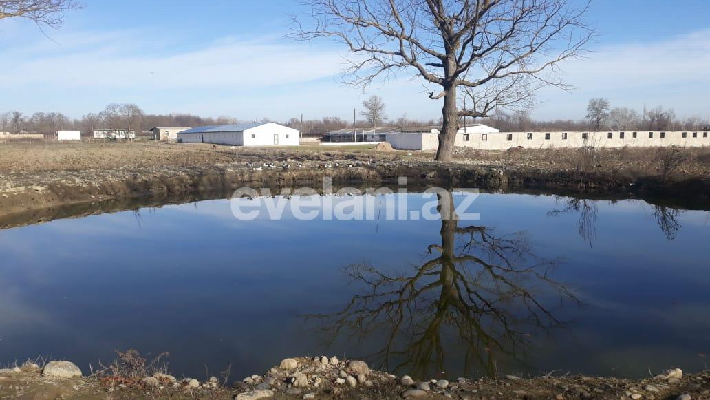 Satılır, obyekt, 4200 m², Xudat