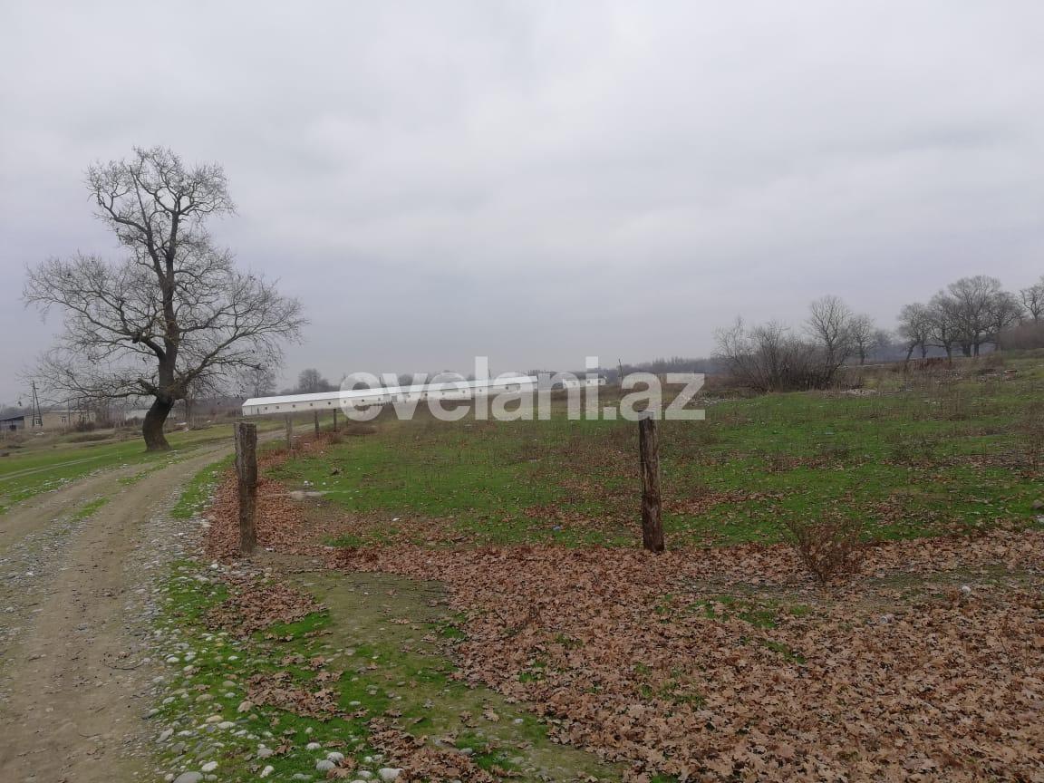 Satılır, obyekt, 4200 m², Xudat