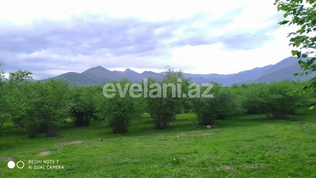 Satılır, torpaq, 350 sot, Qax