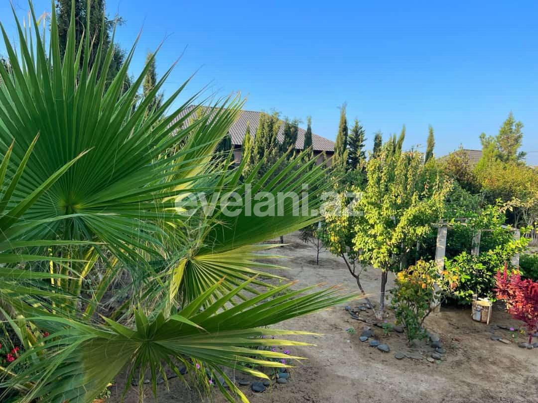 Satılır, həyət evi / bağ, 6 otaqlı, 320 m², Bakı, Xəzər r, Şüvəlan q.