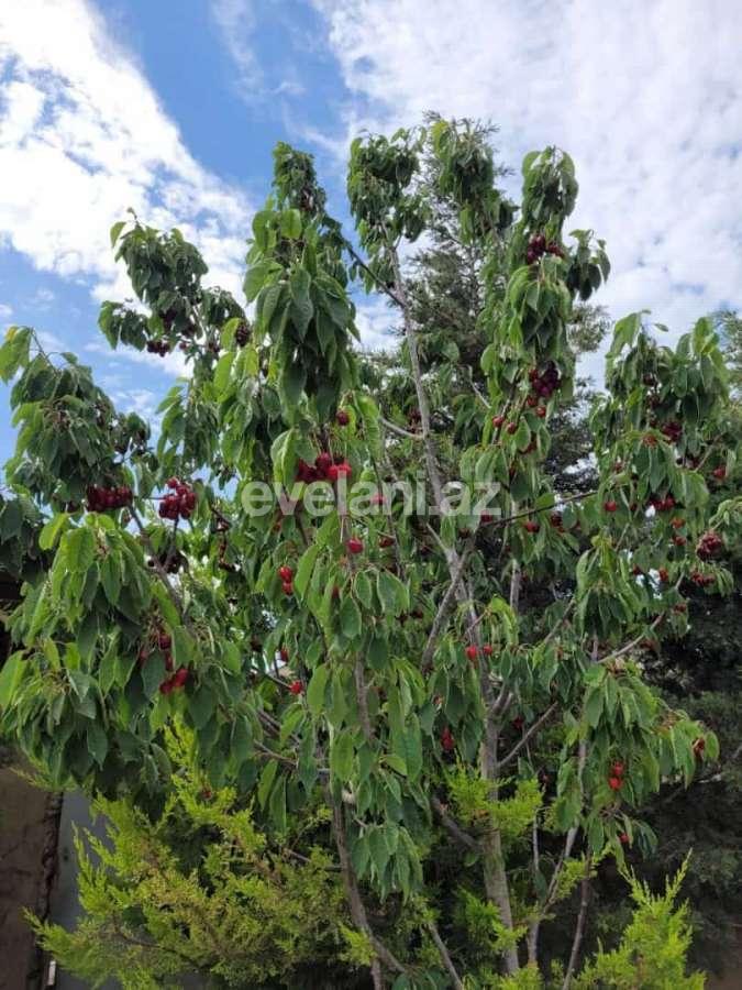 Satılır, həyət evi / bağ, 6 otaqlı, 320 m², Bakı, Xəzər r, Şüvəlan q.