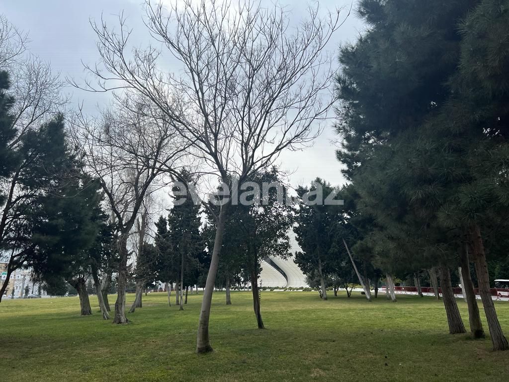 Rent, new building, 2 room, 95 m², Baku, Narimanov r.