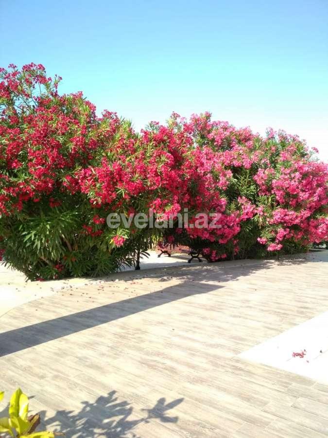Sale, garden / house, 6 room, 250 m², Baku, Absheron r, Novkhani d.