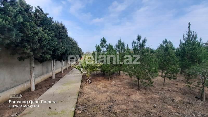 Sale, land, 30 ar, Baku, Khazar r, Shuvalan d.