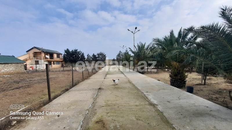 Sale, land, 30 ar, Baku, Khazar r, Shuvalan d.