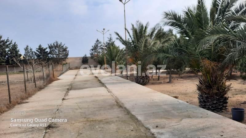 Sale, land, 30 ar, Baku, Khazar r, Shuvalan d.