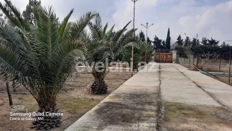 Sale, land, 30 ar, Baku, Khazar r, Shuvalan d.