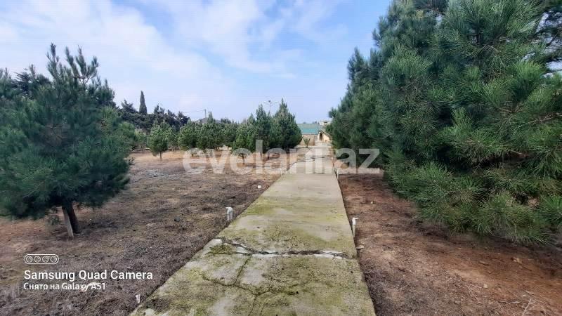 Sale, land, 30 ar, Baku, Khazar r, Shuvalan d.