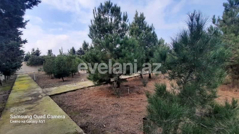 Sale, land, 30 ar, Baku, Khazar r, Shuvalan d.
