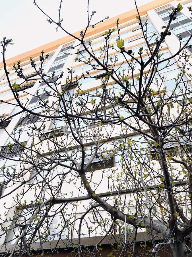 Satılır, köhnə tikili, 2 otaqlı, 60 m², Bakı, Səbail r, İçəri Şəhər m.