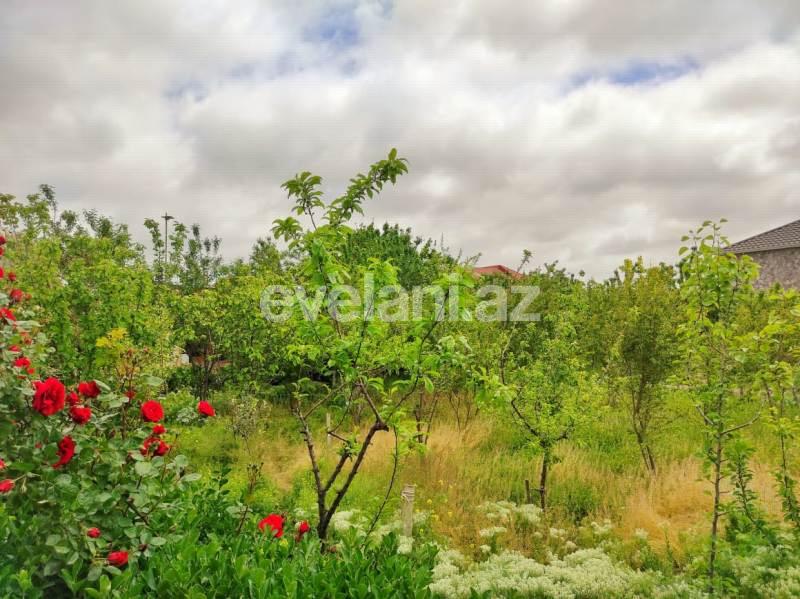 Sale, garden / house, 10 room, 300 m², Baku, Absheron r, Novkhani d.