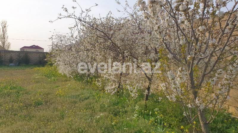 Sale, villa, 6 room, 350 m², Baku, Sabunchu r, Savalan d.