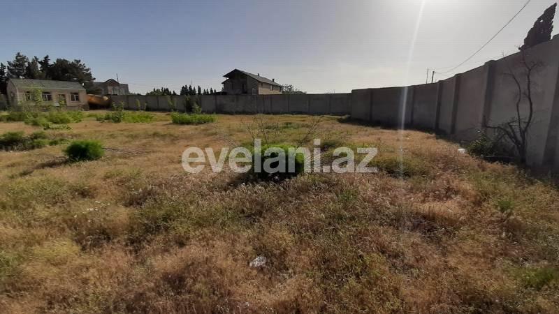 Sale, villa, 10 room, 1000 m², Baku, Khazar r, Mardakan d.