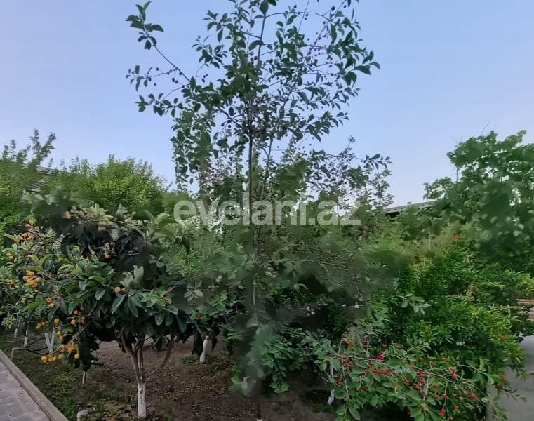 Sale, villa, 7 room, 600 m², Baku, Khazar r, Shuvalan d.