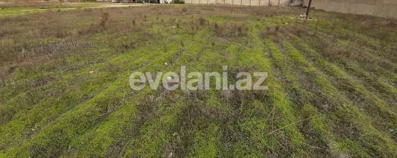 Sale, land, 38 ar, Baku, Khazar r, Buzovna d.