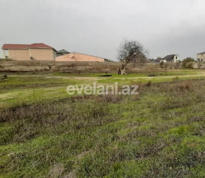 Sale, land, 38 ar, Baku, Khazar r, Buzovna d.