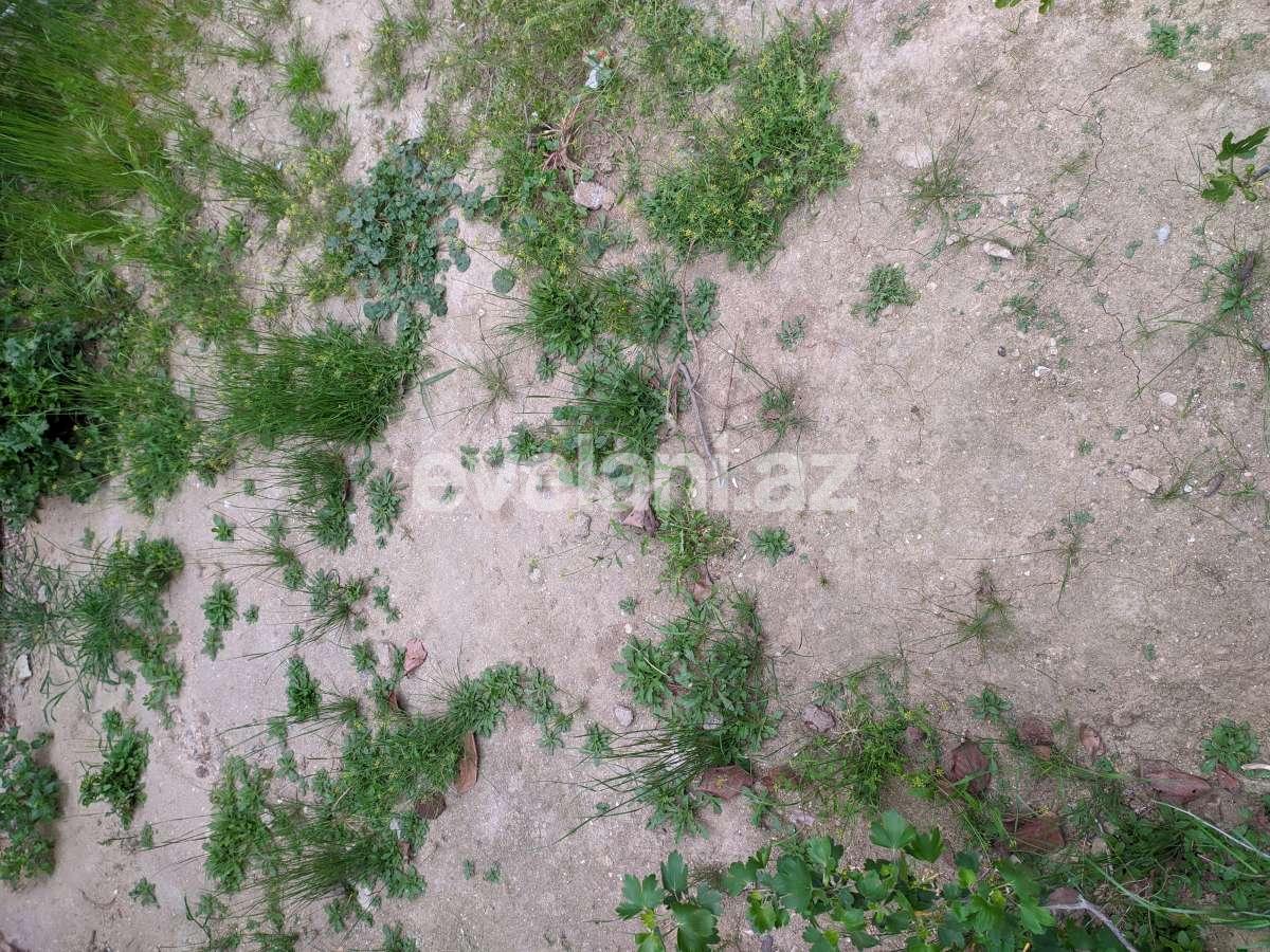 Satılır, həyət evi / bağ, 1 otaqlı, 500 m², Bakı, Suraxanı r, Bülbülə q, Koroğlu m.