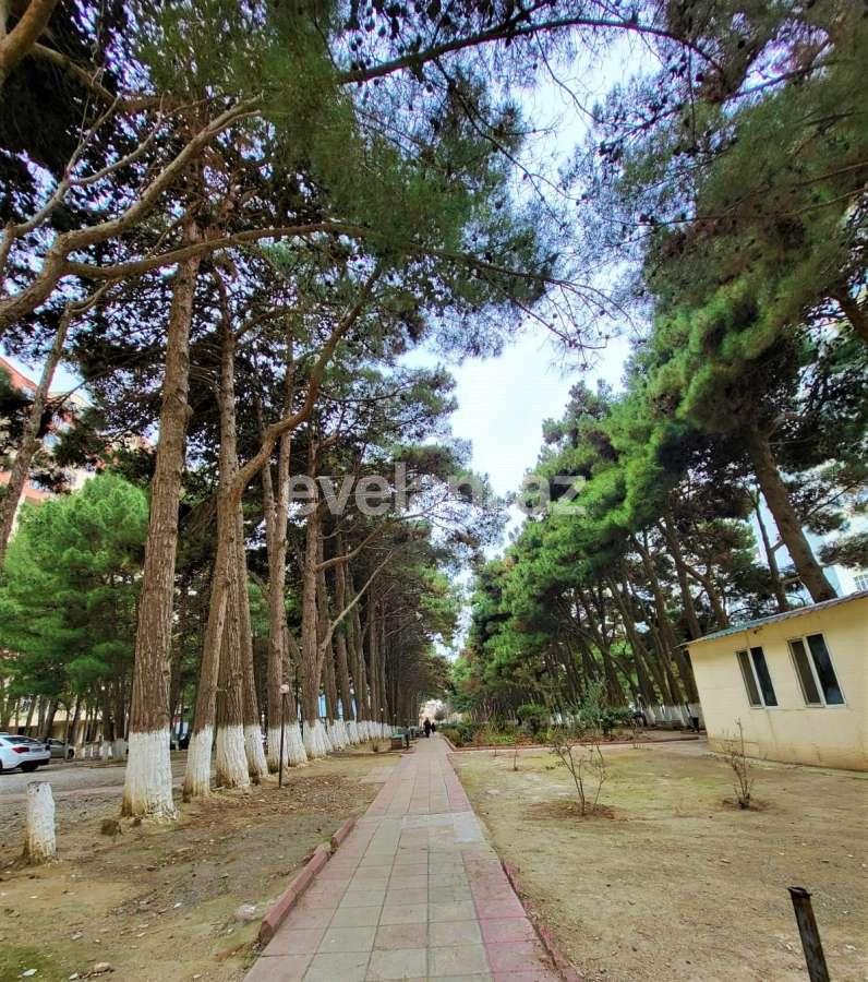 Satılır, yeni tikili, 3 otaqlı, 81 m², Bakı, Xətai r, Həzi Aslanov m.