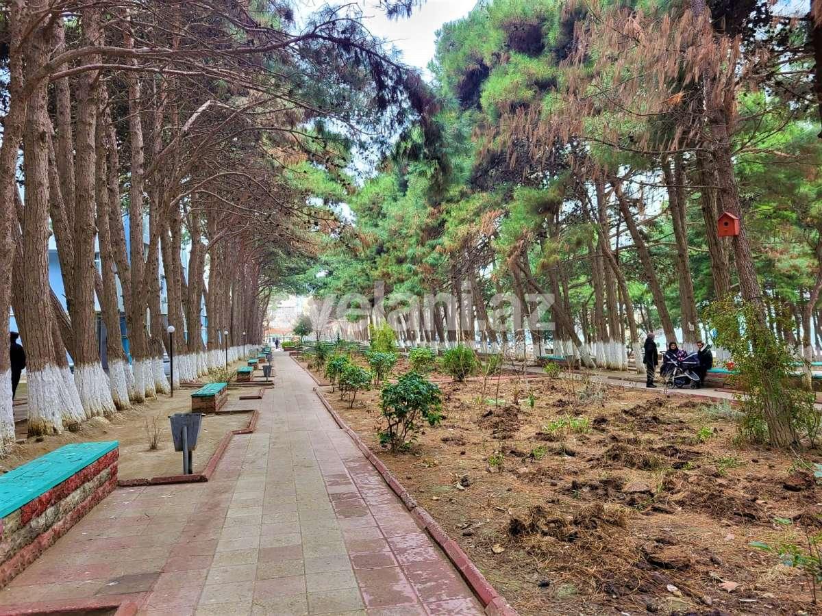 Satılır, yeni tikili, 3 otaqlı, 81 m², Bakı, Xətai r, Həzi Aslanov m.