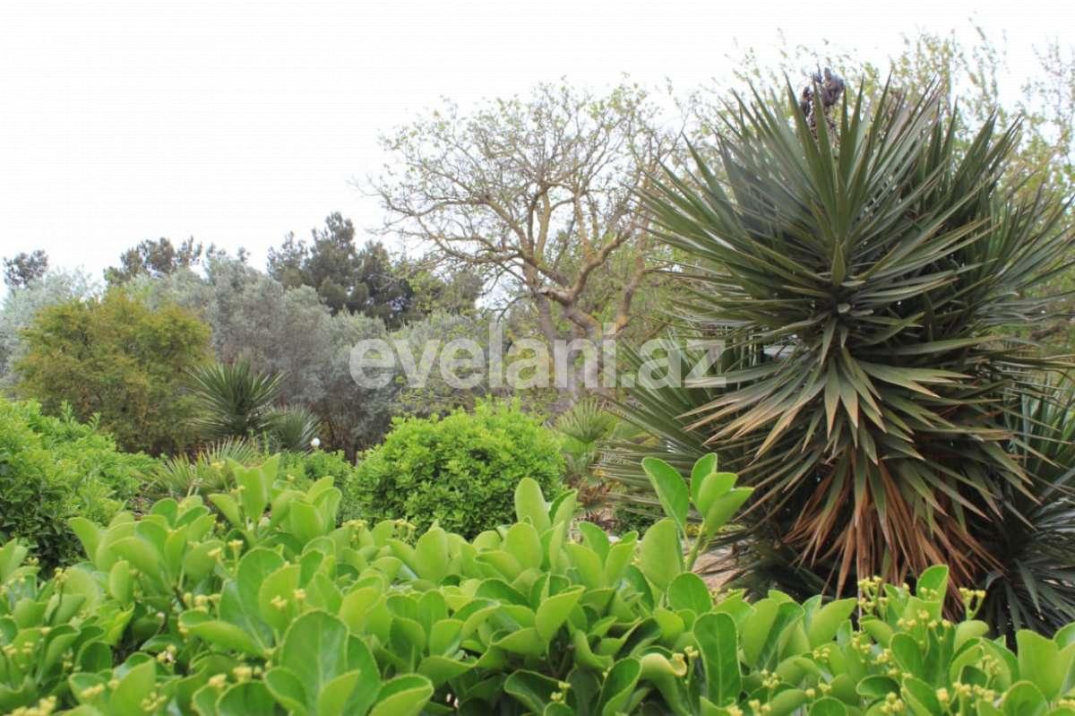 Satılır, həyət evi / bağ, 15 otaqlı, 800 m², Bakı, Sabunçu r, Bilgəh q.