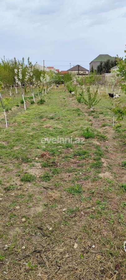Satılır, həyət evi / bağ, 3 otaqlı, 130 m², Bakı, Xəzər r, Buzovna q.