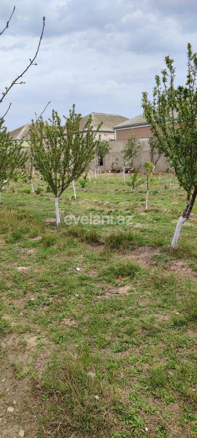 Satılır, həyət evi / bağ, 3 otaqlı, 130 m², Bakı, Xəzər r, Buzovna q.