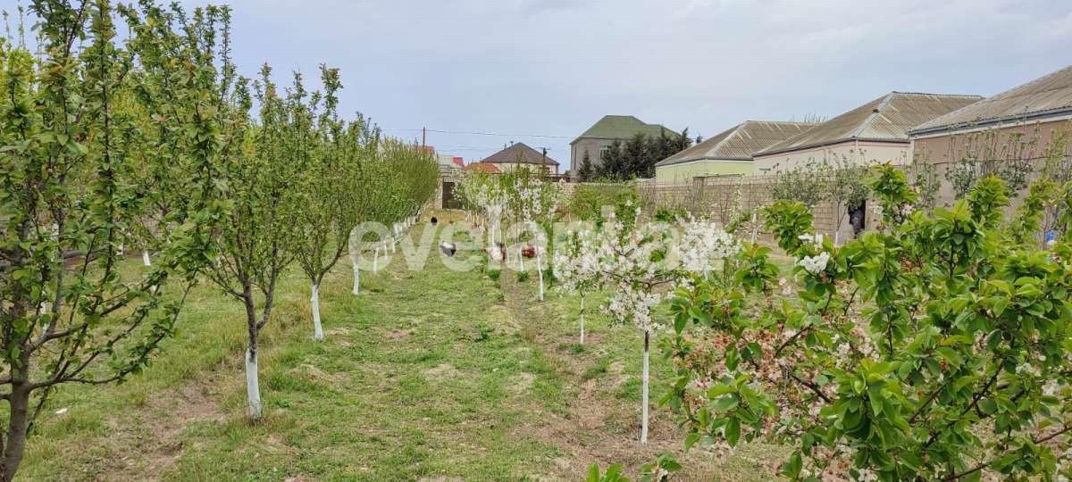 Satılır, həyət evi / bağ, 3 otaqlı, 130 m², Bakı, Xəzər r, Buzovna q.