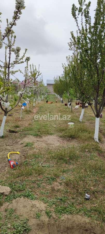 Satılır, torpaq, 15 sot, Bakı, Xəzər r, Buzovna q.