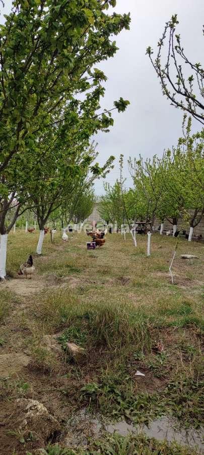 Satılır, torpaq, 15 sot, Bakı, Xəzər r, Buzovna q.