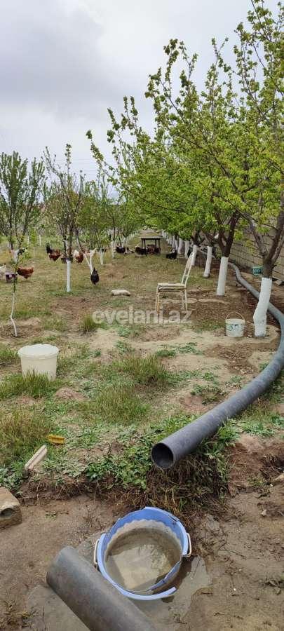 Satılır, torpaq, 15 sot, Bakı, Xəzər r, Buzovna q.